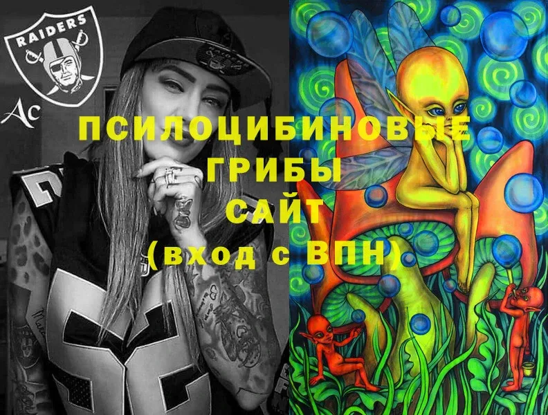 shop формула  Бугуруслан  Псилоцибиновые грибы Psilocybine cubensis  сколько стоит 